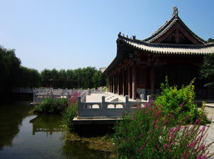 ������������